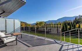 Mountain Spring- Apartamenty Premium 4-8 os z jacuzzi, sauną i basenem w cenie - widok na góry