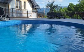 Mountain Spring- Apartamenty Premium 4-8 os z jacuzzi, sauną i basenem w cenie - widok na góry